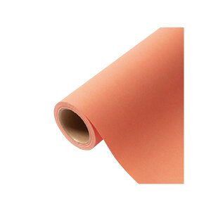 yK{zԗp bsOy[p[ p 10 [Y\[ 65cm×15m 1{ 336720  PARIS Ɩp e  Zbg ܂Ƃߔ