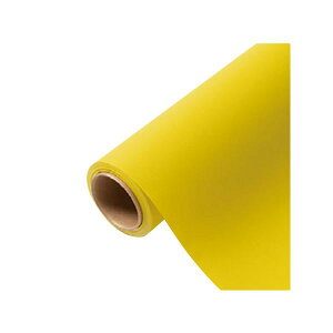 yK{zԗp bsOy[p[ p 11 W[kVg 65cm×15m 1{ 336721  PARIS