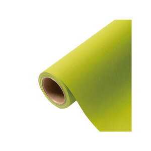 yK{zԗp bsOy[p[ p 12 F[][ 65cm×15m 1P[X20{ 336722  PARIS