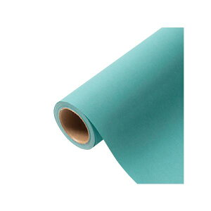 yK{zԗp bsOy[p[ p 13 u[eRA[Y 65cm×15m 1P[X20{ 336723  PARIS