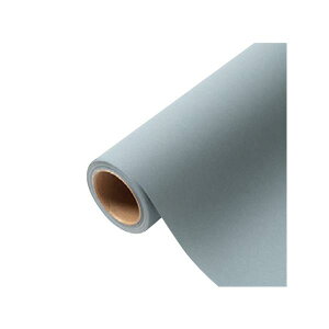 yK{zԗp bsOy[p[ p 14 u[uC[ 65cm×15m 1P[X20{ 336724  PARIS