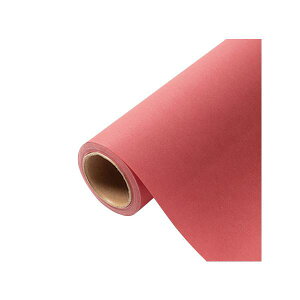 yK{zԗp bsOy[p[ p 19 [YAfBA 65cm×15m 1{ 336729  PARIS