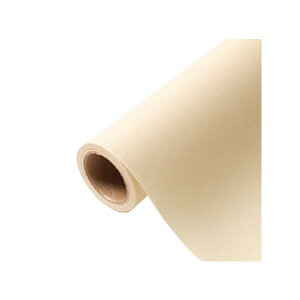 yK{zԗp bsOy[p[ p 21 G}C 65cm×15m 1{ 336731  PARIS