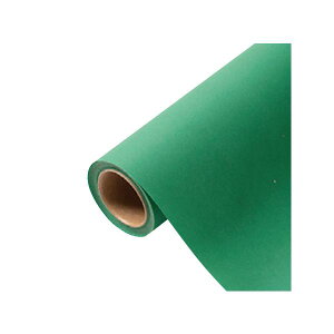 yK{zԗp bsOy[p[ p 22 F[As[ 65cm×15m 1{ 336732  PARIS