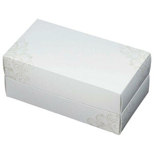 yK{zt[P[X F-446 AWBOX(GKX) zCg O 265×145×115mm 1P[X50 ԗp
