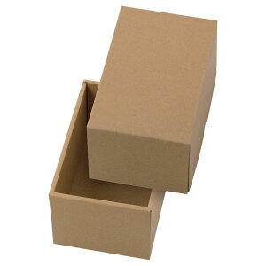 �Ԃǂ��� LTO-45 �N���t�g 45 130×200×120mm 1�P�[�X100���� ���}�j�p�b�P�[�W �_���{�[�� �i�{�[�� ��[ 1�[