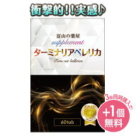【3つ同時購入もう1つ無料】 ターミナリア ベレリカ サプリ タイムカット ベリリカ サプリ メント エラグ…