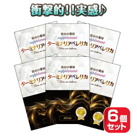 ターミナリア ベレリカ サプリ タイムカット ベリリカ サプリ メント ダイエット 健康ランキ入賞 6ヶ月分 エラグ酸 推奨量配合 ザクロ ギムネマ 白インゲン 桑の葉 ブラックジンジャー イソフラボン デキストリン 没食子酸　宝蔵メディカル 富山 の 薬 屋