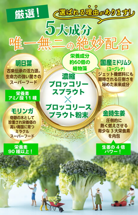 楽天市場】ブロッコリー スプラウト サプリ スルフォラファン 