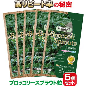 ubR[ 100{p[IXtHt@ Tv VgpEubR[XvEg Tvg p5xR̖򉮃Tvz@X[p[t[h