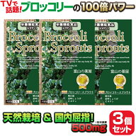 ブロッコリースプラウト サプリ スルフォラファン サプリメント お徳3個セット（3ヶ月分）3袋 栄養機能食…