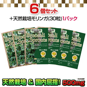 ubR[XvEg Tvg XtHt@ Tv  ~hV t I rI` h{@\Hi 100{p[V xRSupplement p6{ K 30 X[
