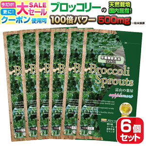 y`11/11z ubR[XvEg Tvg XtHt@ Tv p6EubR[ 100{V xR̖򉮂 NHi ~Vi[[ X[p[t[h ~h