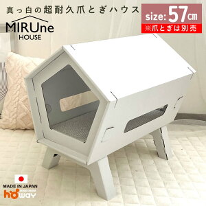 _{[nEX ~lnEX {̂̂ L  ybgxbg  _{[ zCg Lp i{[nEX ybgp 傫  u rbO   Lpi xbg