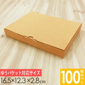 【メルカリ便対応】 A6 ダンボール箱 外寸165×123×28mm 100枚セット| 梱包資材 梱包材 梱包箱 箱 定形外郵便 メルカリ メルカリ便 ゆうゆう ゆうパケット 箱 小 ギフトボックス ケース ラッピング 小箱 発送 小物 書類 定形外 お菓子 ギフト クラフト材料 包装