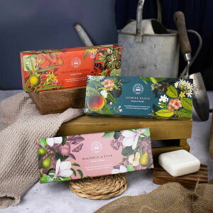 CObV\[vJpj[ Ό MtgZbg ΂ \[vo[ v[g VA\[v Mtg  킢 CMXyKAiz