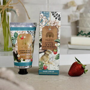 CObV\[vJpj[ nhN[ tOX v[g Ajo[T[RNV Mtg  킢 CMX VAo^[yKAiz