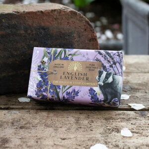 CObV\[vJpj[ Ό ΂ \[vo[ VAo^[ v[g  킢 CMXyKAiz