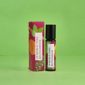 ObhbN [I A}IC GbZVIC  v[g Mtg  A} {㗤 i` RhyKAiz