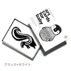 A[gJ[h  q Ԃ Aj}fUC v[g Mtg oYj a COuh {㗤yKAiz