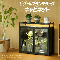 楽天市場】ガラス温室（ガーデニング・農業｜花・ガーデン・DIY）の通販