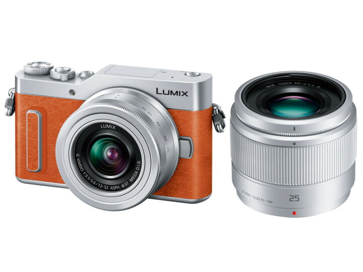 楽天市場】【安心の上場企業】 Panasonic パナソニック DC-GF10W-D 