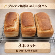 グルテンフリーのミニ食パン 米粉パン 富山県産こしひかり 胚芽米 有機米 無添加 冷凍 3本セット
