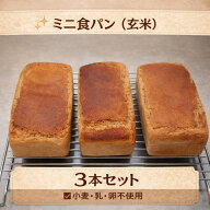 グルテンフリーのミニ食パン 米粉パン 富山県産こしひかり 玄米 有機米 無添加 冷凍 3本セット