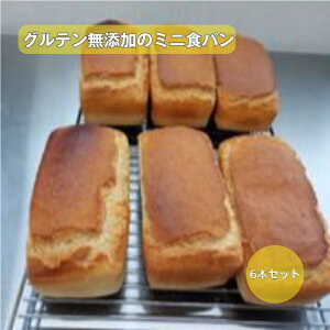 OeỸ~jHp xRYЂ100% 6{Zbg