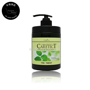 【送料無料(沖縄除く)】 ナプラ ケアテクトHBカラートリートメント S しっとりタイプ650g(napla caretect hb)ヘアカラー用ダメージケアトリートメント ノンシリコン/シリコンフリー