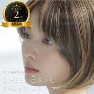 シートエクステ アッシュゴールド 1枚 【送料無料(全国)】 ファッションウィッグ 外せるエクステ ハイラ…