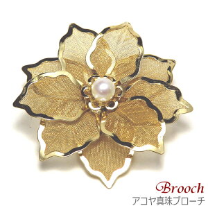 AR^ u[` RT[W ( ^ p[ ^ {^ ̓ w Ǝ tH[}  p[eB[ ) y[ցi|Xgɓjł̂͂z