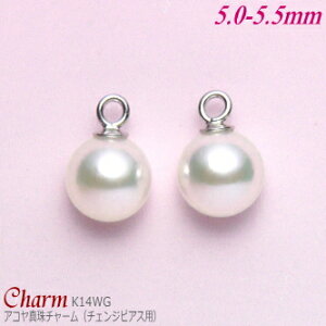 AR^ `[ K14zCgS[h 5.0-5.5mm (`FWsAXp^ۊa:1.1mm^1yA)