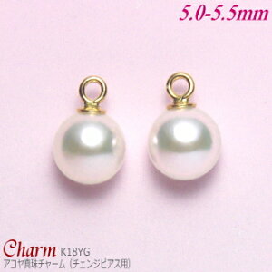 AR^ `[ K18CG[S[h 5.0-5.5mm (`FWsAXp^ۊa:1.1mm^1yA)