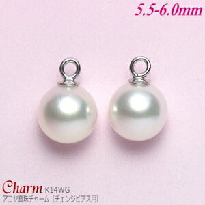 AR^ `[ K14zCgS[h 5.5-6.0mm (`FWsAXp^ۊa:1.1mm^1yA)