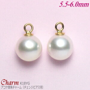 AR^ `[ K18CG[S[h 5.5-6.0mm (`FWsAXp^ۊa:1.1mm^1yA)