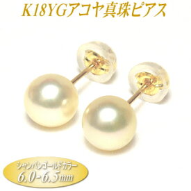 アコヤ真珠 K18イエローゴールド ピアス シャンパンゴールドカラー 6.0-6.5mm ( 真珠 パール K18 18金 18k YG あこや真珠 本真珠 真珠ピアス パールピアス )