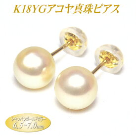 アコヤ真珠 K18イエローゴールド ピアス シャンパンゴールドカラー 6.5-7.0mm ( 真珠 パール K18 18金 18k YG あこや真珠 本真珠 真珠ピアス パールピアス )