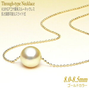 ߉\K18AR^X[lbNXi8~/S[hJ[ji^ {^ X[y_gj