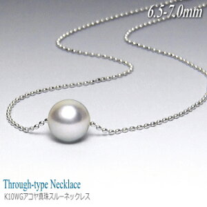 K10WG AR^ v`X[lbNX iVo[O[J[^6.5~j( ^ p[ lbNX y_g ^ {^ )