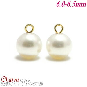 W^ `[ K18CG[S[h 6.0-6.5mm (`FWsAXp^ۊa:1.2mm^1yA)