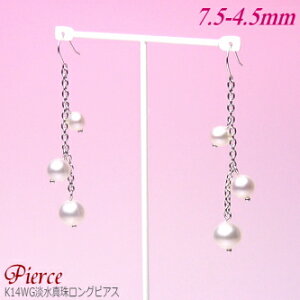 K14WGW^샍OsAXizCgJ[^7.5`4.5~^tbN^Cv^`F[EfUC̓Vo[j