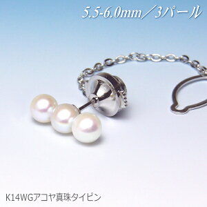 タイピン K14WG」の人気商品一覧 | 安い商品を通販サイトから探す 