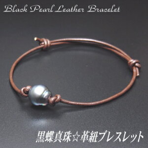 ^ vR uXbgivRJ[F_[NuEj