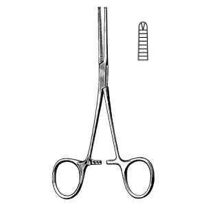 y12/1 9:59܂Ń|Cg5{z[1܂ŉ\zXs^T[rX Rbwq() Lb(䂤) HP0810y×p͂݁E|EpEppEybgpEp