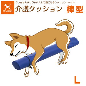 _yVX[p[SALE^ÿׁAszpNbV@_^@LTCY(`^p)@5191947@OneAid@GCh@AypNbVEpNbVEp