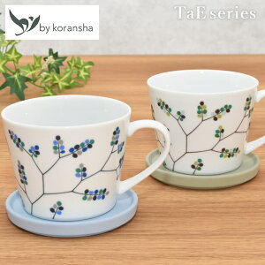 y|Cg2{zby koransha TaE ӂt}OJbv O[/u[ Ёy{ Lc H JtFH  킢 A {^jJ \[T[ɂȂt^ \[T[