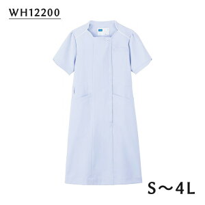 s[X@WH12200@TbNX@zCZ(WHISEL)@dy킢  t n Vv m[J[ pCsO |Pbgz