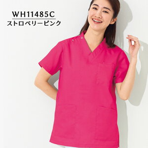 jpXNu@WH11485@Xgx[sN@SS`4L@zCZ(WHISEL)y   Ō { R ѓdh~ 傫TCY TCYz