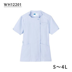 `jbN@WH12201@TbNX@zCZ(WHISEL)@dy Ōt i[X   n t m[J[  pCsO  킢z